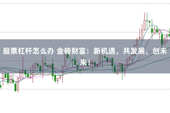 股票杠杆怎么办 金砖财富：新机遇，共发展，创未来！
