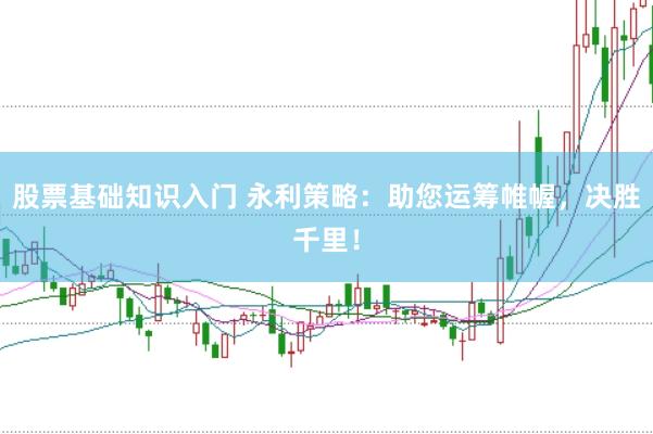 股票基础知识入门 永利策略：助您运筹帷幄，决胜千里！