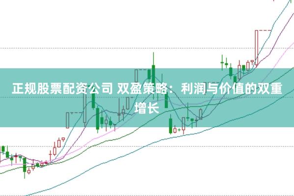 正规股票配资公司 双盈策略：利润与价值的双重增长