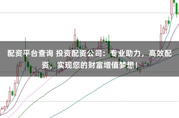 配资平台查询 投资配资公司：专业助力，高效配资，实现您的财富增值梦想！