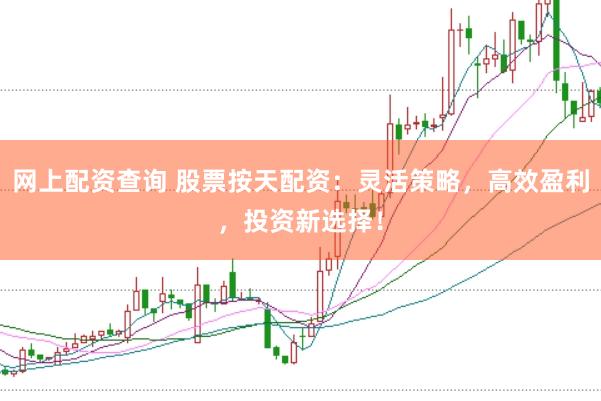 网上配资查询 股票按天配资：灵活策略，高效盈利，投资新选择！