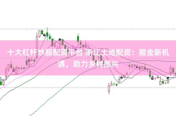 十大杠杆炒股配资平台 浙江土地配资：掘金新机遇，助力乡村振兴