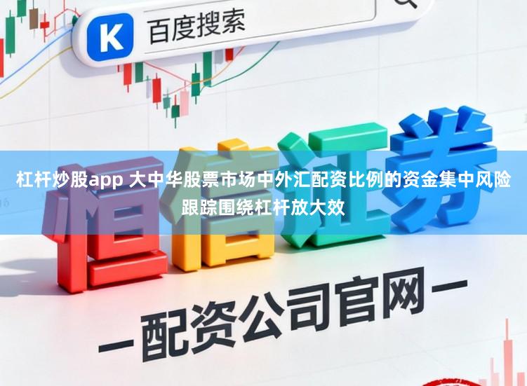 杠杆炒股app 大中华股票市场中外汇配资比例的资金集中风险跟踪围绕杠杆放大效
