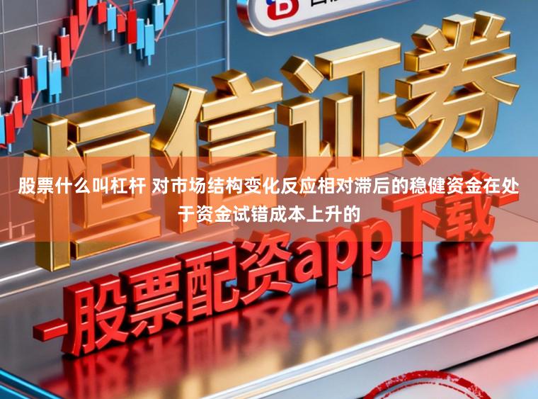 股票什么叫杠杆 对市场结构变化反应相对滞后的稳健资金在处于资金试错成本上升的