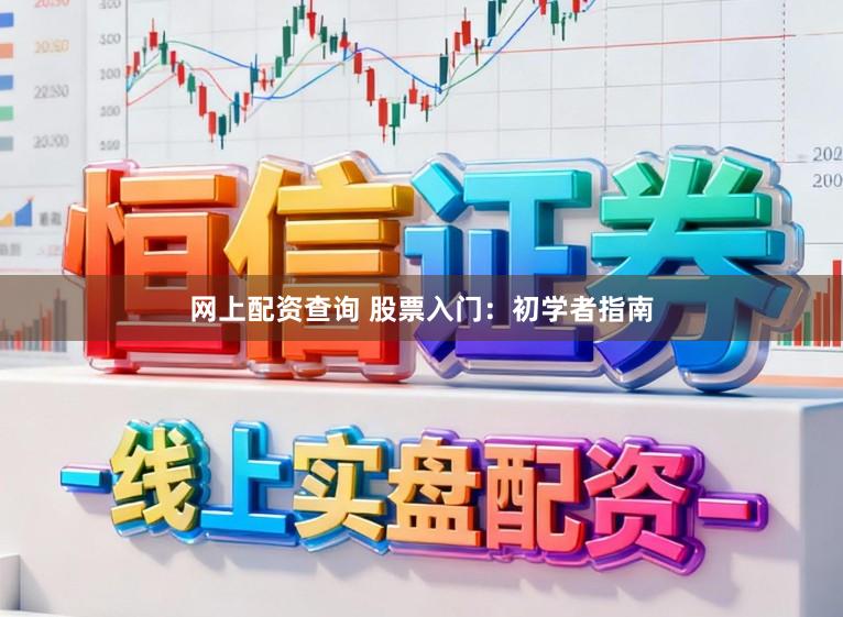 网上配资查询 股票入门：初学者指南
