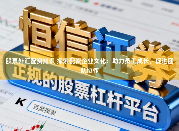 股票外汇配资知识 探索配资企业文化：助力员工成长，促进团队协作